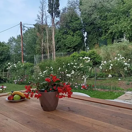 Venetton Garden House Corfu *