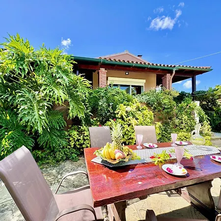 Night Flower With Private Pool By Dadovillas Villa