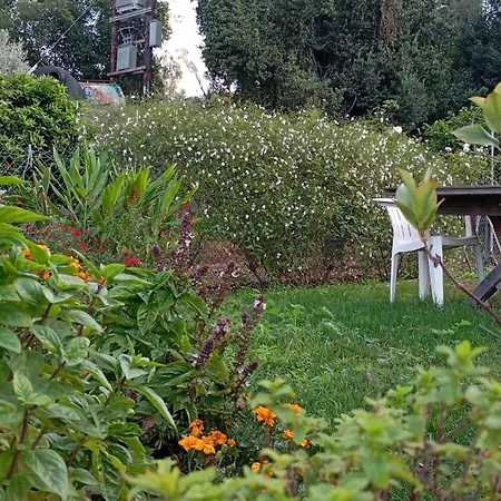 Venetton Garden House Corfu Apartment *