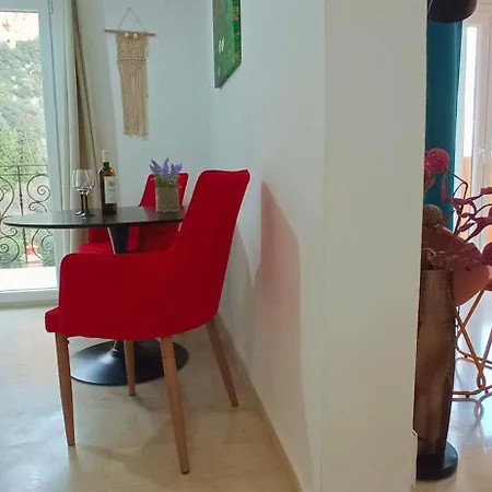 Apartment Amaryllis