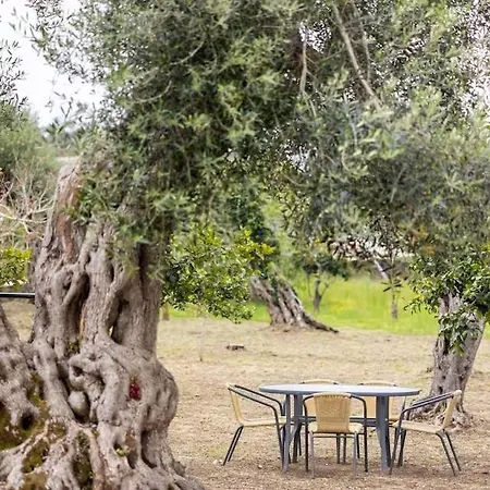 Private House With Garden Next To The Holiday home *
