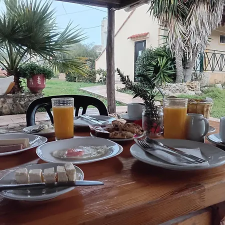 Bed & Breakfast Olive House