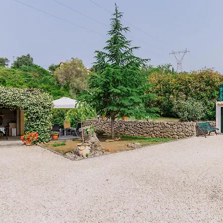 Tulip House Pool In Corfu Villa Poulades