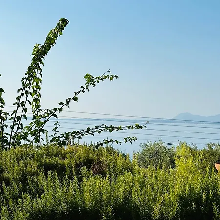 View * Barbati