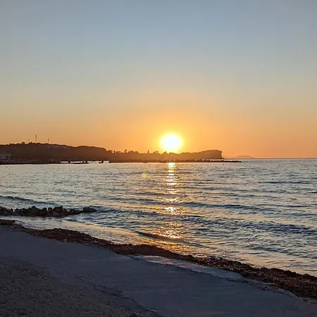 Dolphin & -next To The Roda (Corfu)