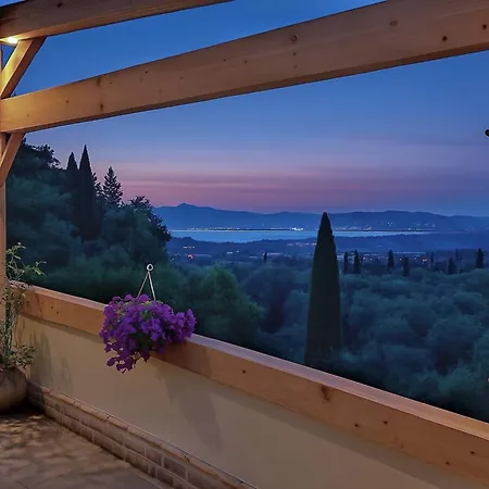 House With Private Mini Pool Jacuzzi & * Viros