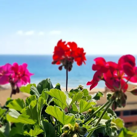 Apartment Seablue 137 Corfu Glyfada (Corfu)