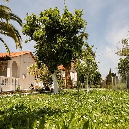 Paradise Village Aparthotel Roda (Corfu)
