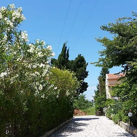 Aparthotel Alexandros Roda (Corfu)