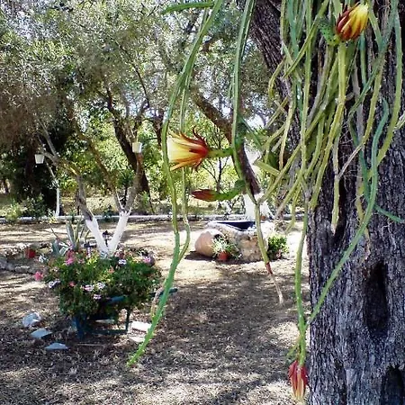 Apartment Reggis Dassia (Corfu)