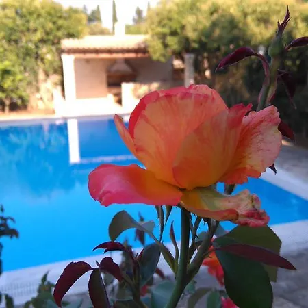 Cha Nanakas Village Aparthotel Potamos (Corfu)