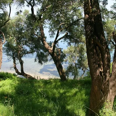 Helios Splendid Mpoukaris