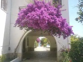 Sailors Beach Apartments 2*