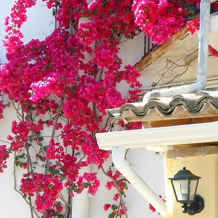 Anemona Aparthotel *