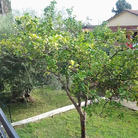 Passas Mare & Apartment