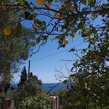 Despina Benitses * Benitses (Corfu)