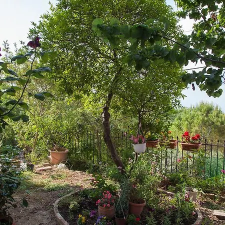 Agios Prokopios Corfu House *
