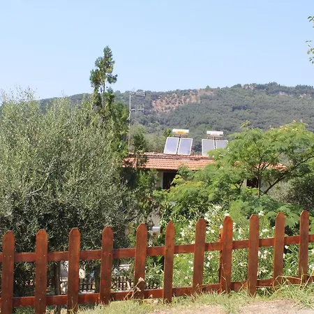 Marina 1990 Apartment Agios Georgios Pagon
