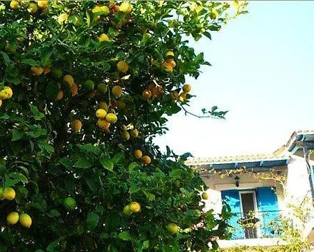 Aparthotel Fiorita