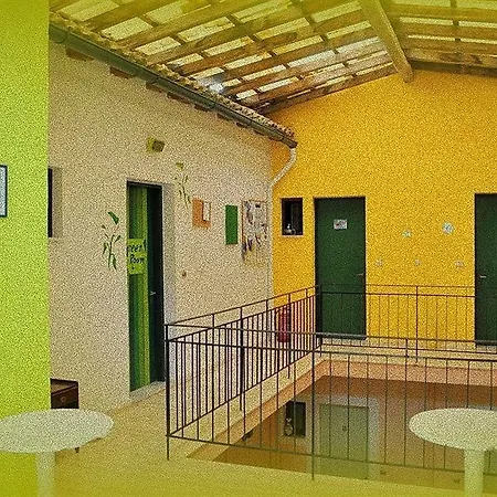 Comfy Hostel