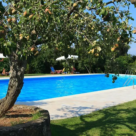 Hotel Saint Nicholas 3*