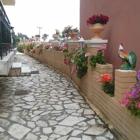 Corfu Sunflower