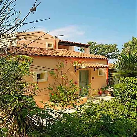 Hotel Century 4*