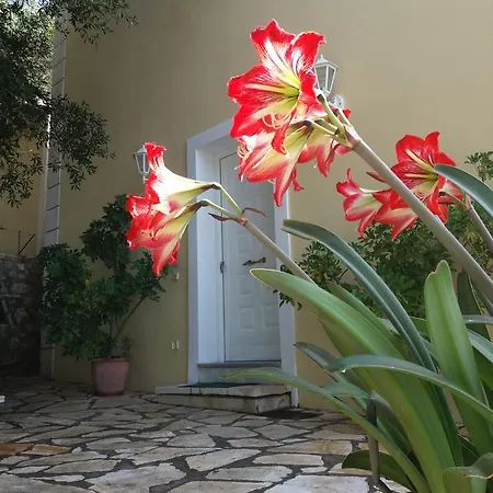 Sunrise Luxury Holiday home