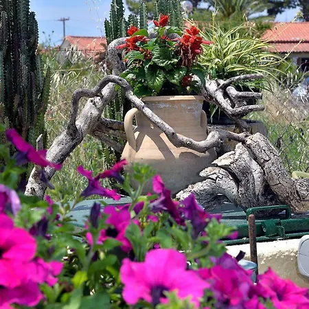 Feeloxenia Corfu