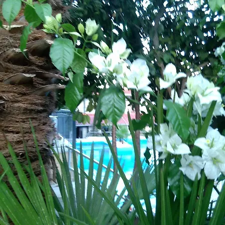 Aragorn Paradise Garden Hotel