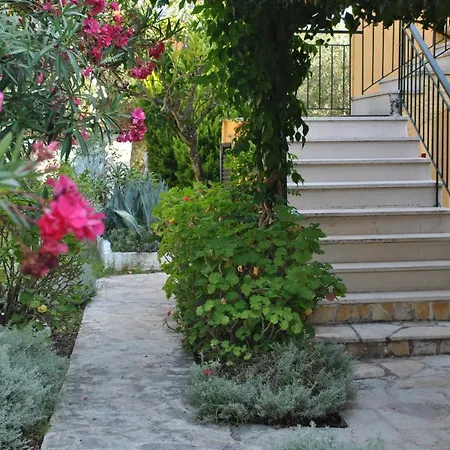 Helios Splendid 3* Mpoukaris