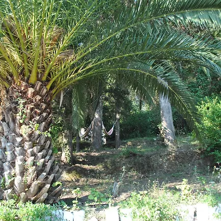 Helios Splendid 3*