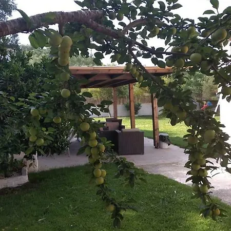 Thanos Villa *