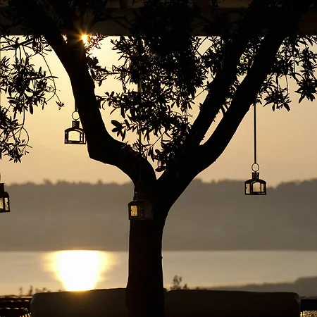 The Editor's - Member Of Spiritual Living Corfu Viros