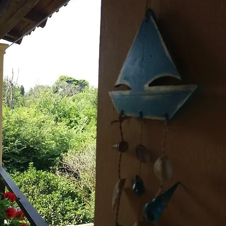 Alexandra Spingou Apartment Dassia (Corfu)