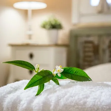 Vakantiehuis Lianelia Boutique *