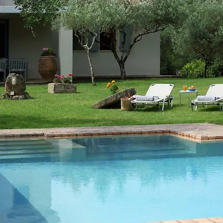 Olive Holiday home