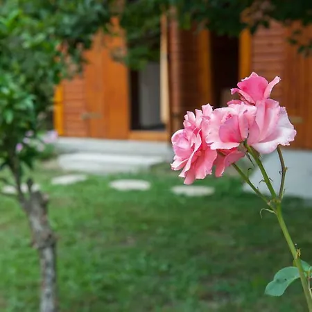 Family With Garden & Bbq * Velonades (Corfu)