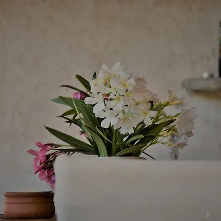 Holiday home House Eleni *