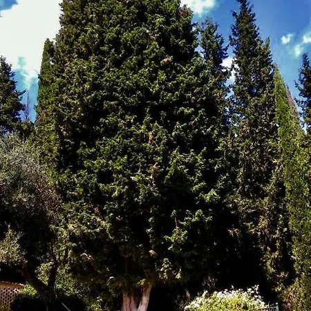 Villa Armonia