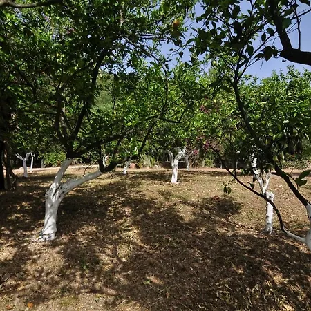 Ionian Garden - Pietra * Benitses (Corfu)