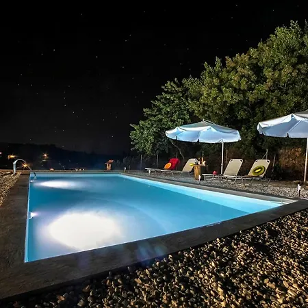 Pool Daze Holiday *