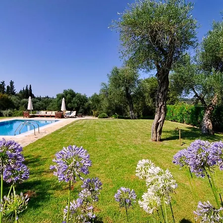 Villa Stone Rose *