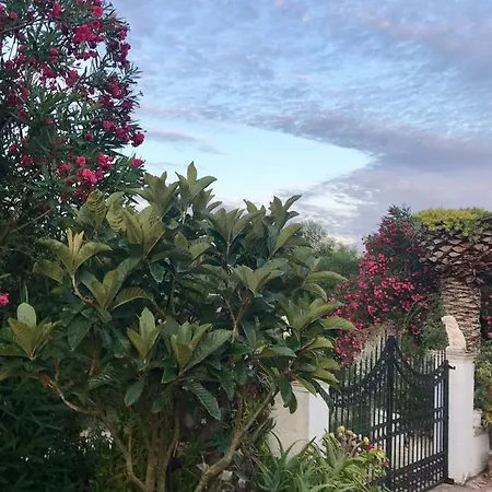 Floros Agios Stefanos Avliotes (Corfu)