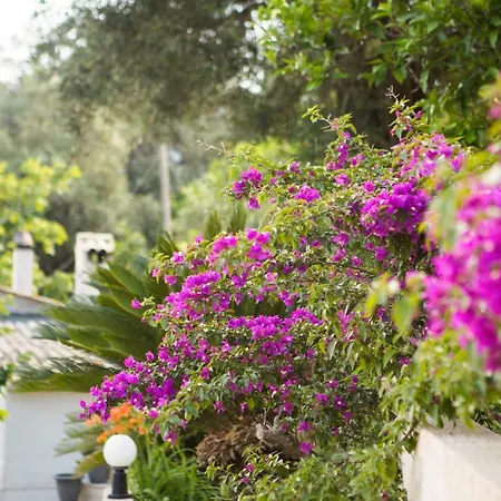 Holiday home Natural Beauty Spot *