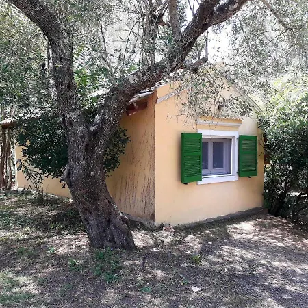 House In The Olive Garden Apartment *