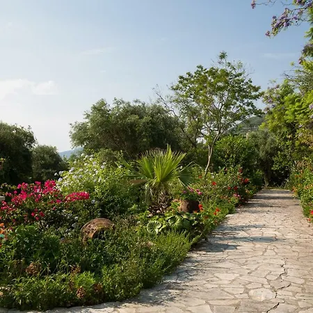 Ionian Garden - Pietra