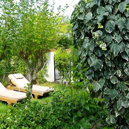 Apartment Kostas' Garden