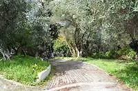 Andre Corfu Village *