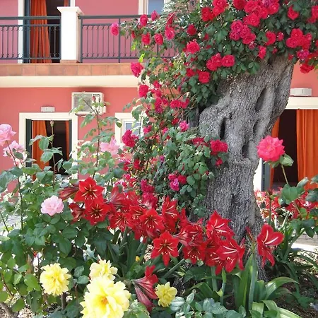 Corfu Sun Sea Side Aparthotel Benitses (Corfu)